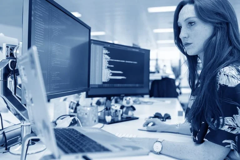 Software development
